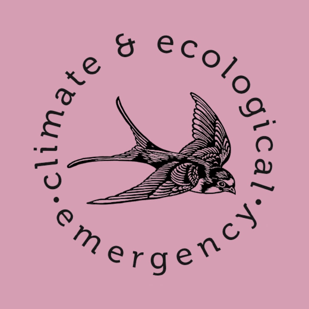 Culture Declares Emergency