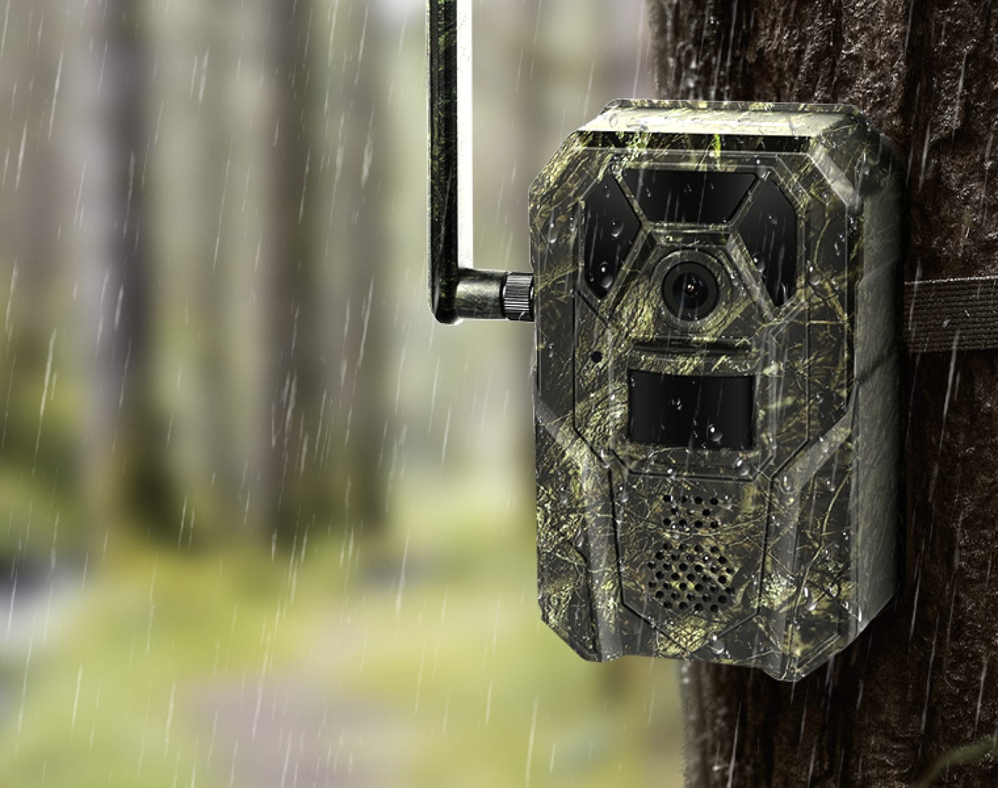 Magic Eagle EagleCam 5: simply launched 5