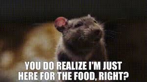 YARN | You do realize I'm just here for the food, right? | Charlotte's Web  (2006) | Video clips by quotes | 922e6934 | 紗