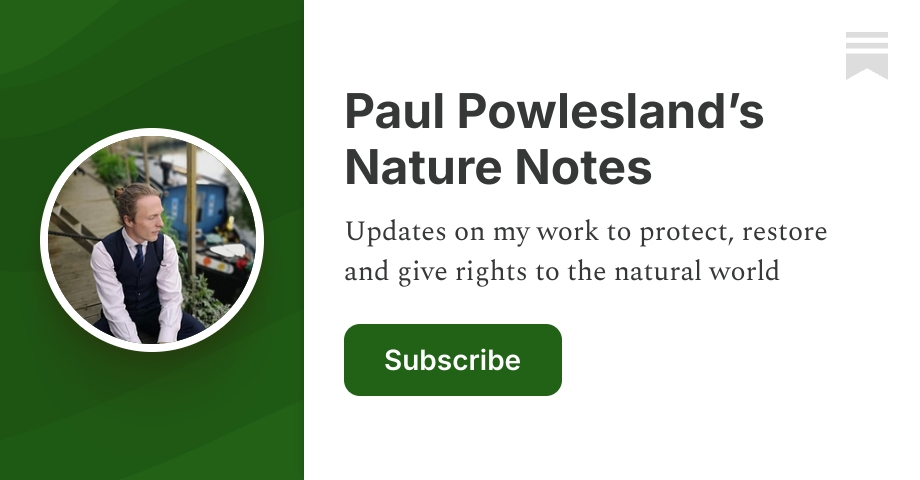 Paul Powlesland’s Nature Notes | Substack