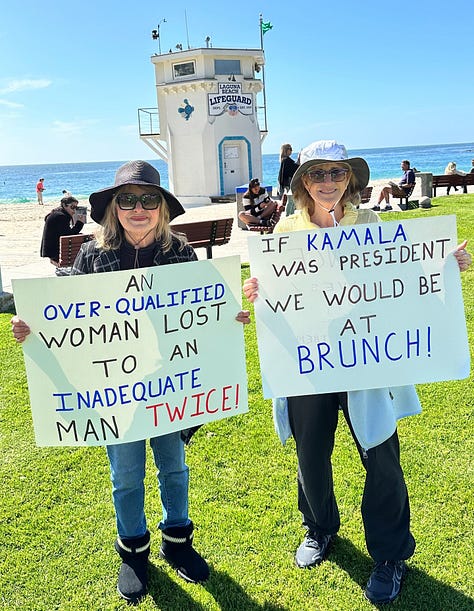 Several photos of protesters around the country with signs opposing the Trump administration and Elon Musk
