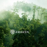 AWAKEN with Michelle 
