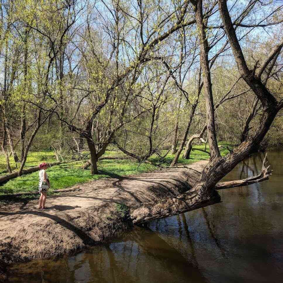 Ellison Park creek trail Ellison Park creek trail