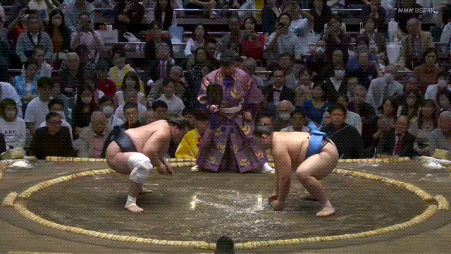 Sumo Stomp Spotlight: How did Onosato win his first championship?