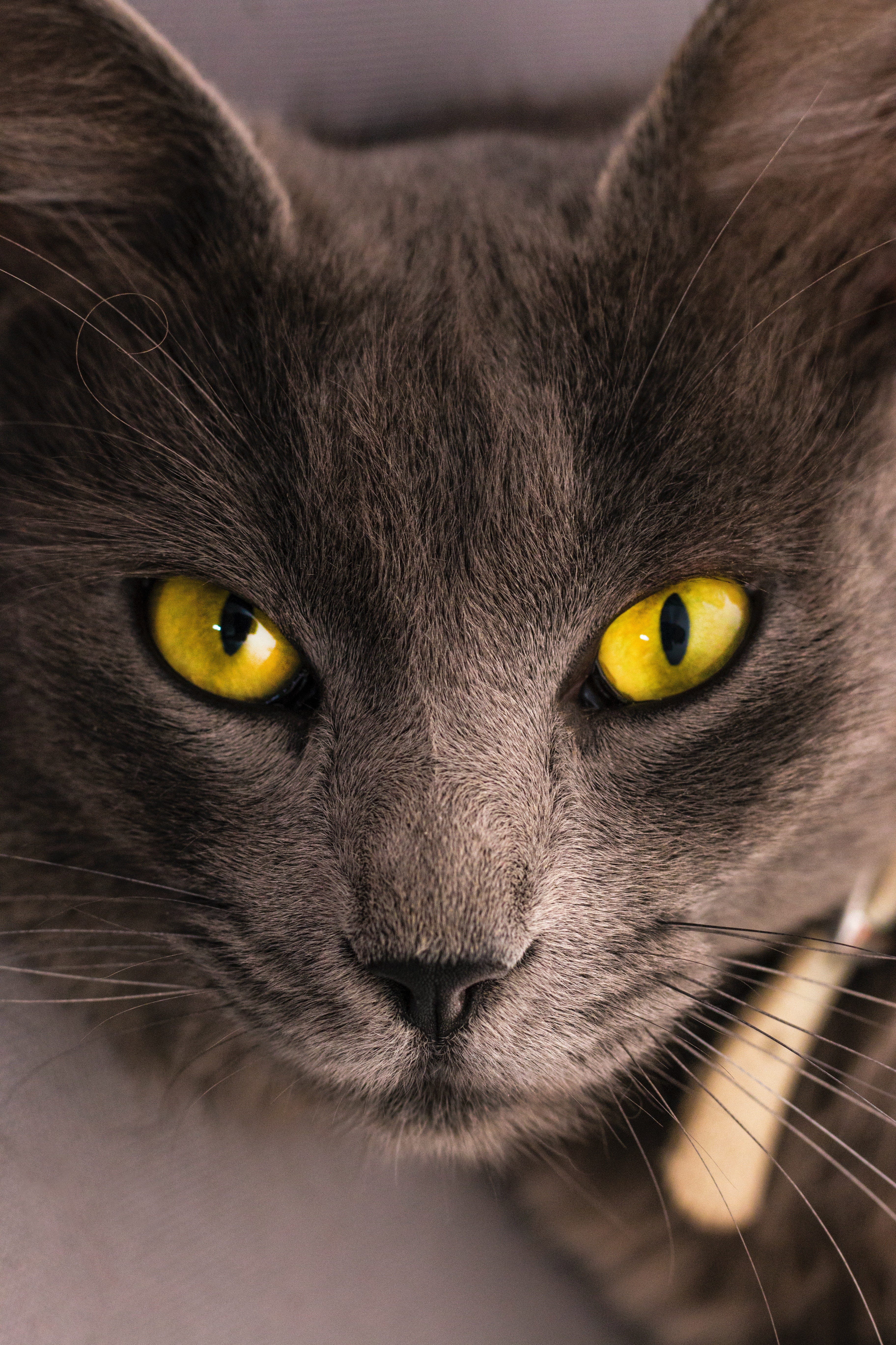 Substack profile picture for @braver