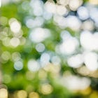 Council approves the use of home security camera footage for criminal investigations