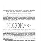 African Symbolism Inquiry