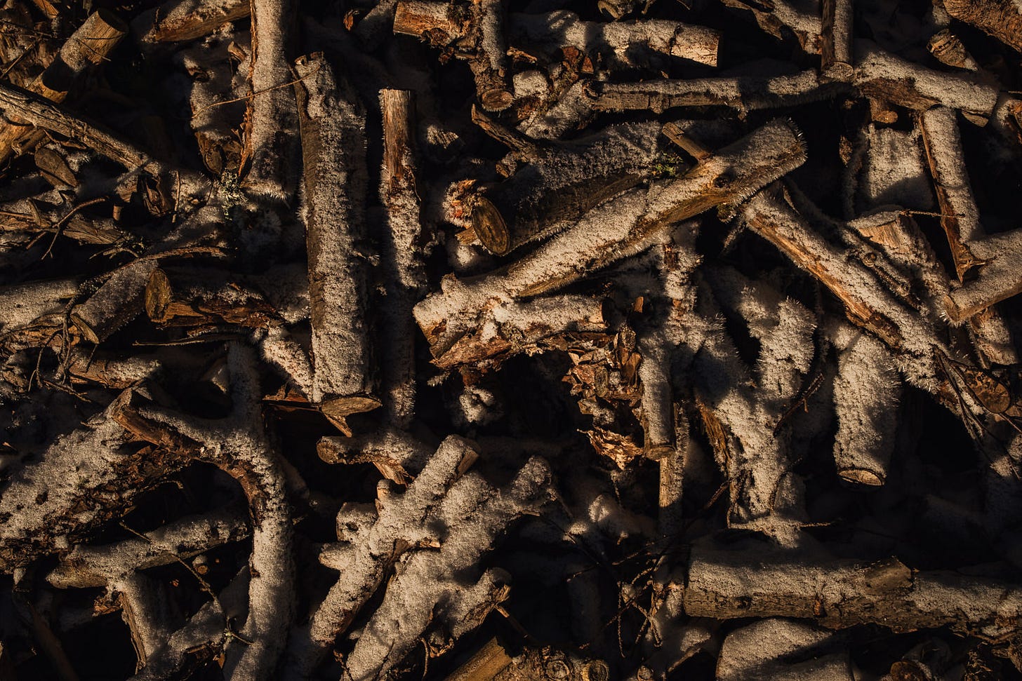 Pile of Finnish firewood