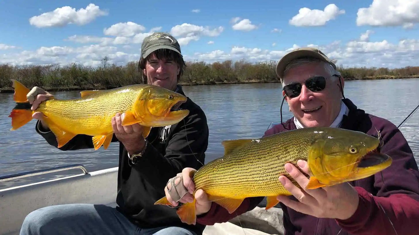 Brad and Charlie Swett with a Golden Dorado double from the vast lower delta of the Parana River in Argentina.