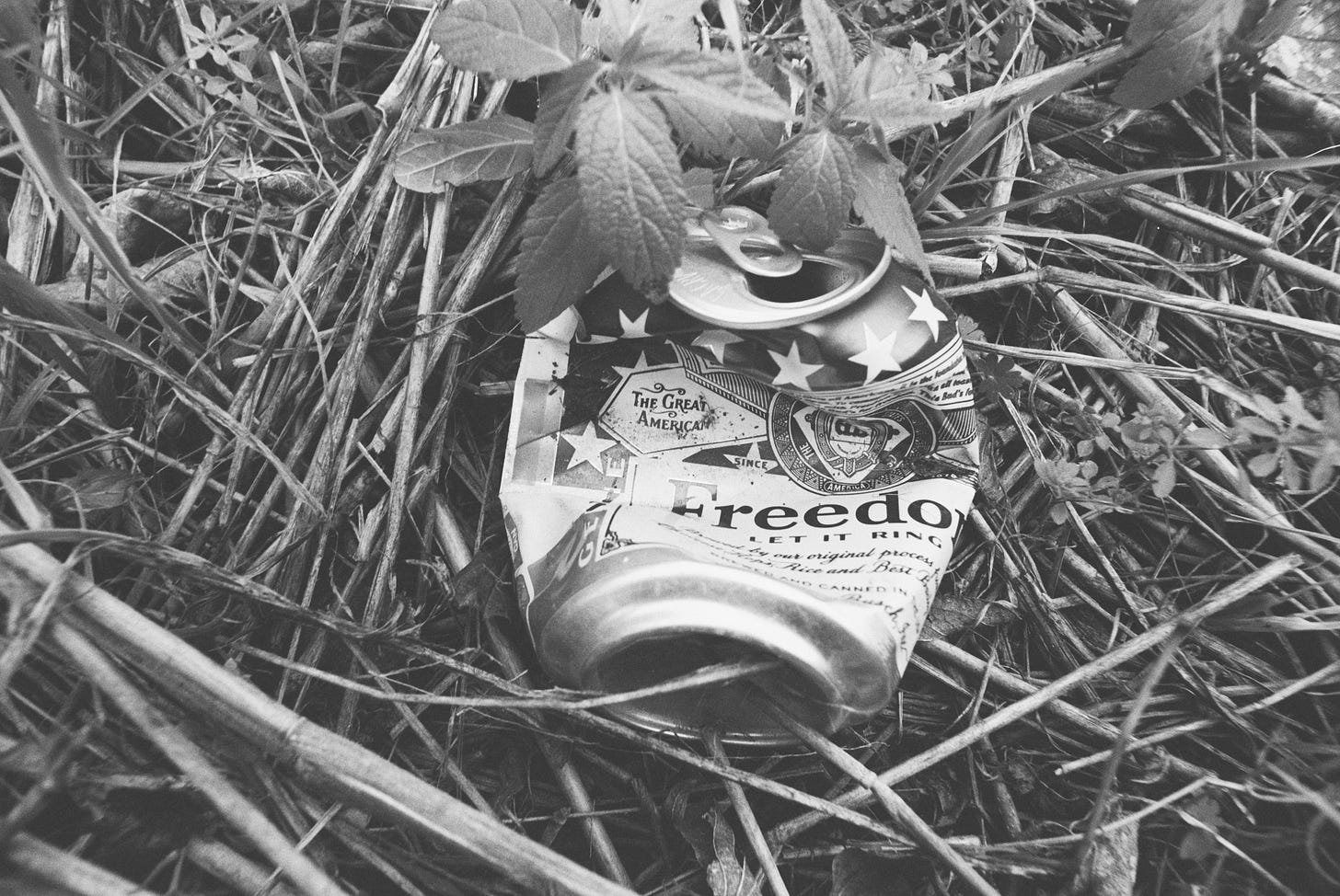 Beer can branded "FREEDOM: Let it Ring"