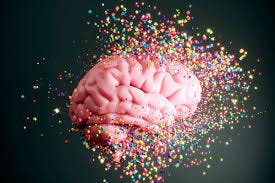 BBC Science Focus Magazine BBC Science Focus Magazine