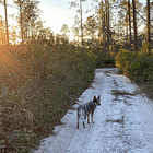 Are public dog parks great? Are public dog parks awful?