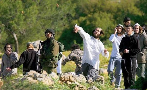 Jewish terrorism rises by 560% in the West Bank — and most perpetrators walk free - Palestine Will Be Free