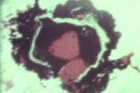 Re:Voir Vidéo + The Film Gallery: Takahiko Iimura Early Film Poems 1962-1971