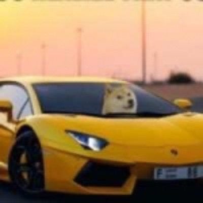 LamboDoge (@DogeLambo) / Twitter