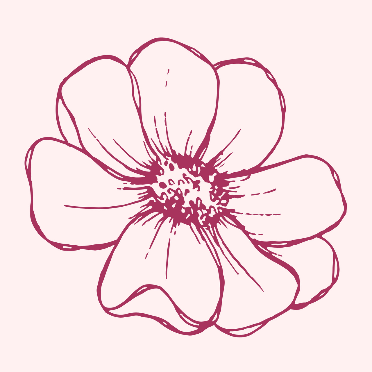 blossom ༊*·˚