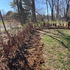 And Suddenly, A Hedge