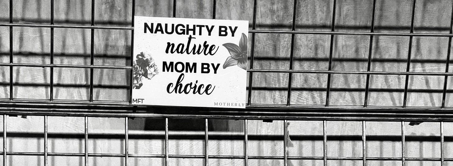 merchandise booth sign of naughty by nature, mom by choice merchandise booth sign of naughty by nature, mom by choice