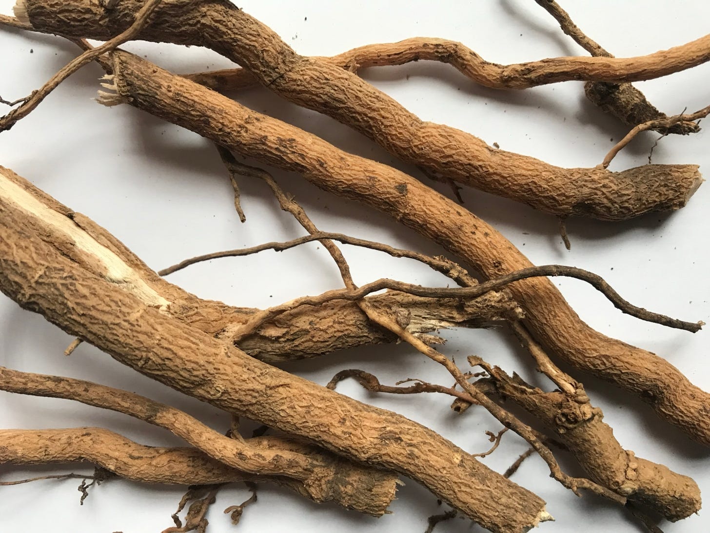 Brown dried roots 