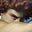 Avatar de adzbwr
