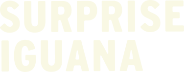 Surprise Iguana Games