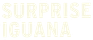Surprise Iguana Games