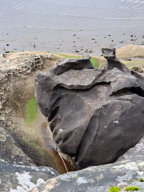 6 photos: looking across the water at mountains and a town with rainclouds overhead, mossy trees, a heron standing in the water, a interestingly shaped rock, blossoms on a tree next to the water, sea lion heads poking out of the water