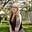 Isobel's avatar
