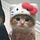 User's avatar