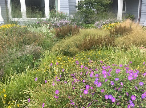ecological gardens