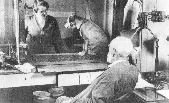 Ivan Pavlov and his dogs