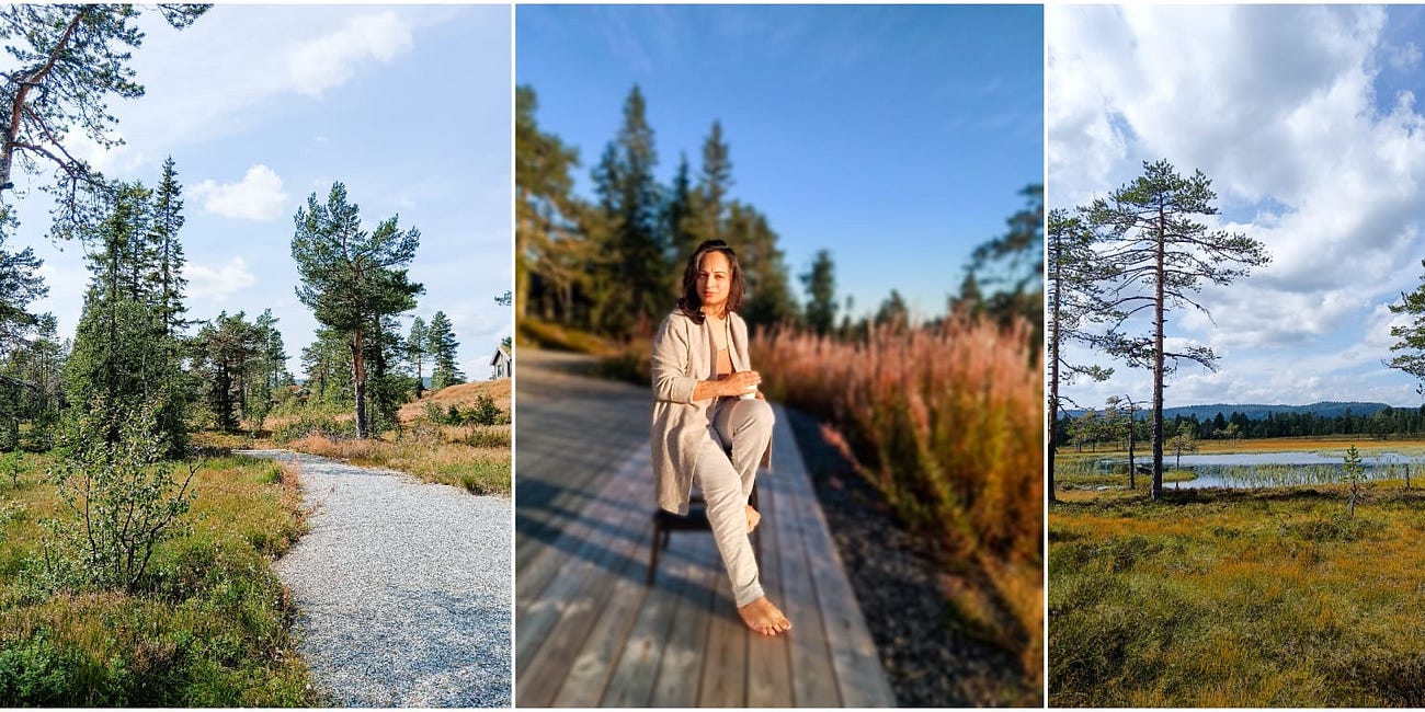 The Cabin Diaries - Day 6: Let Go of the Timeline You Didn’t Write