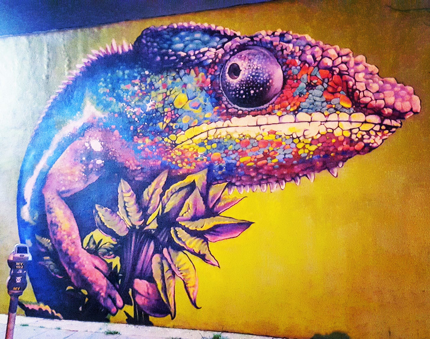 IMG_20170217_181107_778