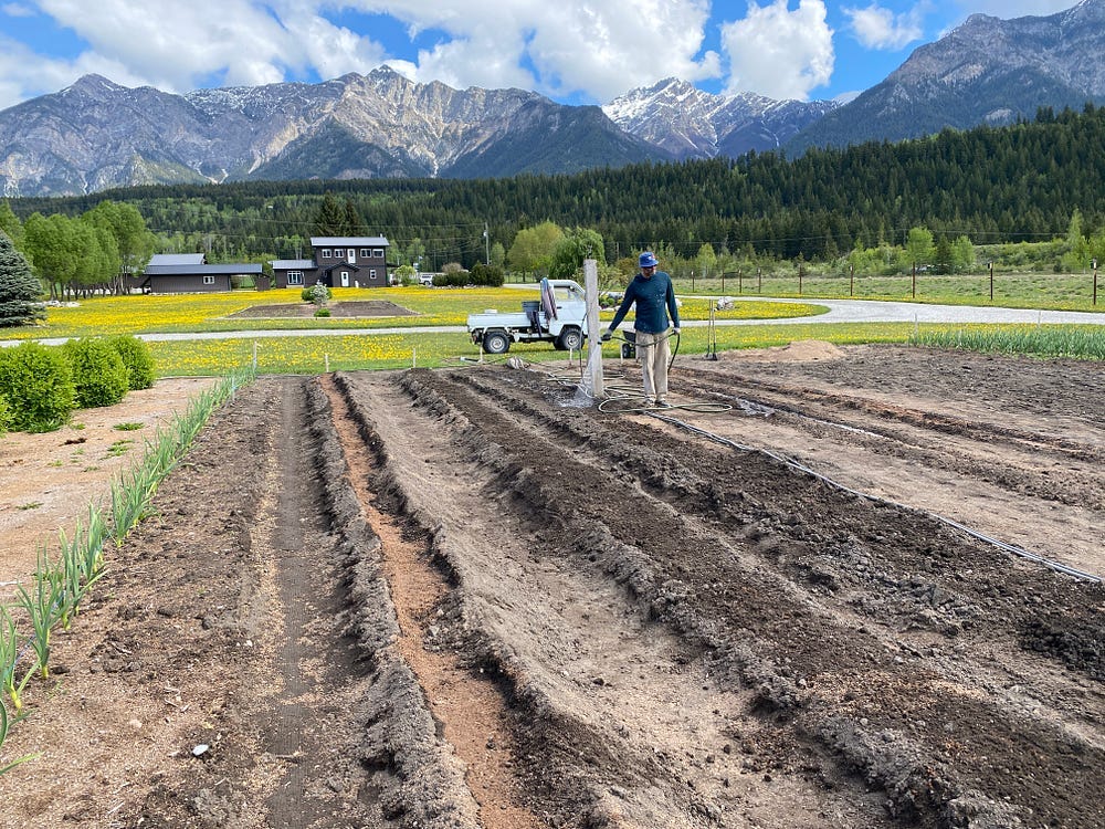 A man waters the soil with a hose while large mountains loom in the distance.