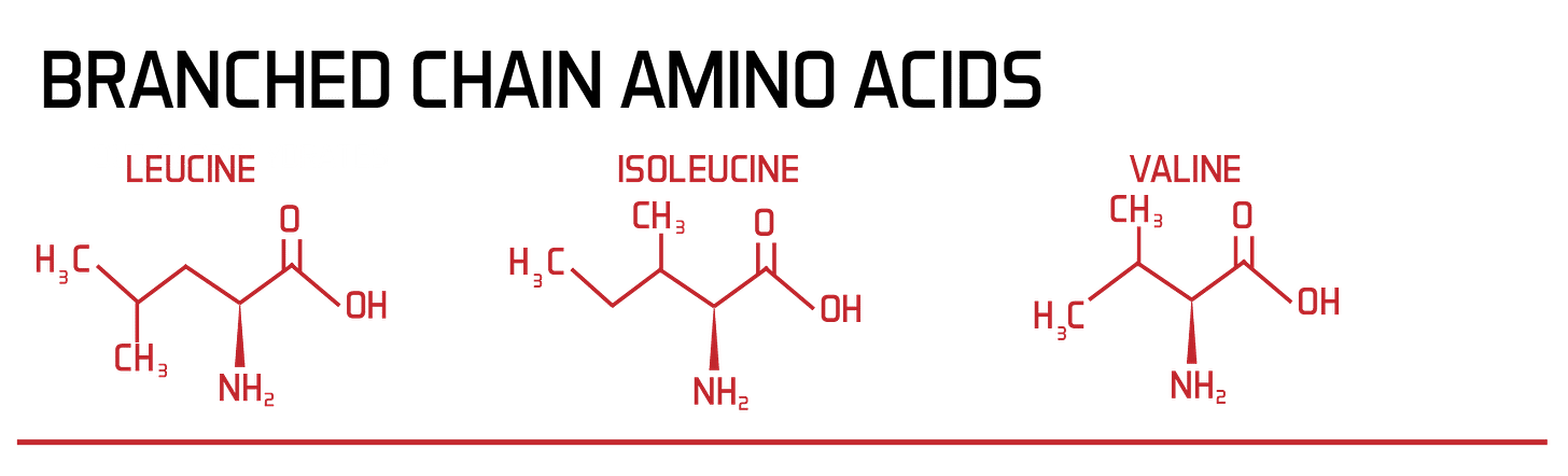 Branch Chain Amino Acids - Fullsteam Branch Chain Amino Acids - Fullsteam