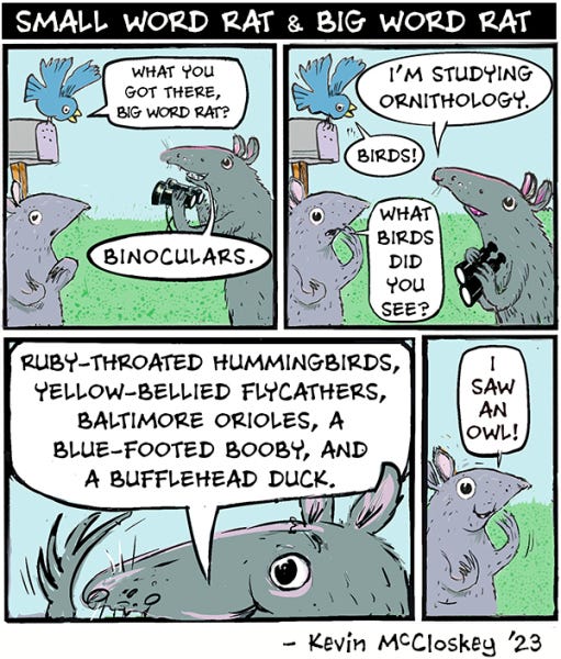 Long word rat and short word rat are looking at birds. Long word rat sees a lot of birds with long names but short word rat spots an owl.