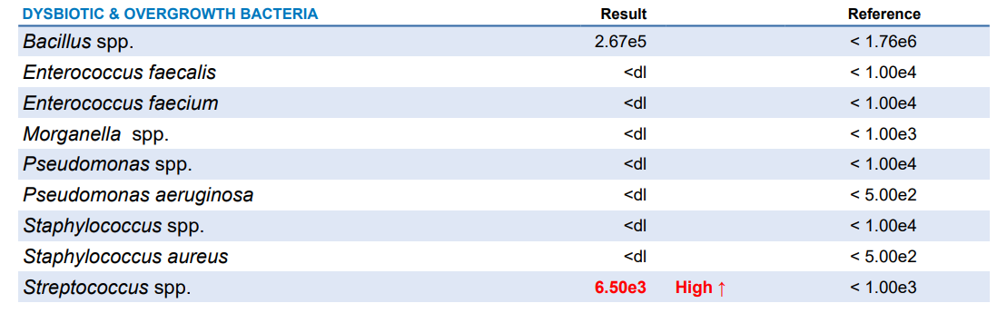 장내 미생물 불균형 및 과증식 박테리아 검사 결과 표
