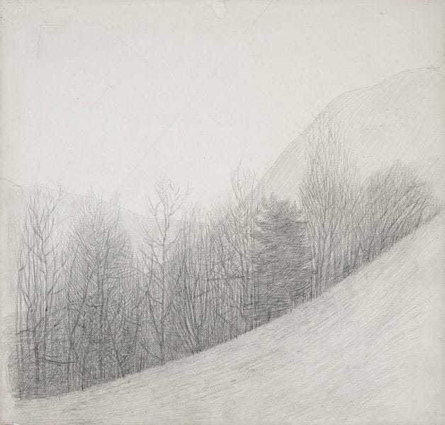 The Lyricism of Winter Trees