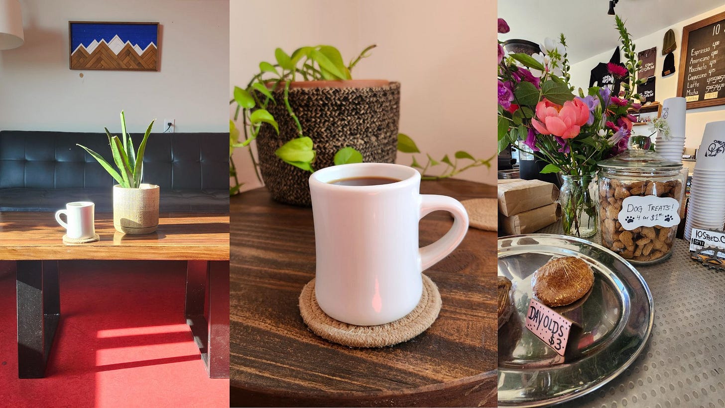 Three photos. The two on the left show a white ceramic coffee mug placed next to potted indoor plants. The right is of flowers in a vase on a coffee bar next to pastries and dog treats.