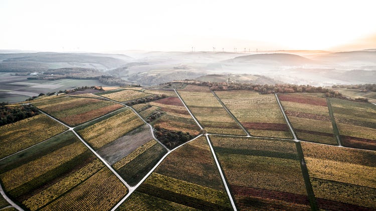 Wagner-Stempel's vineyards seen from above on a cloudy winter day in Rheinhessen.