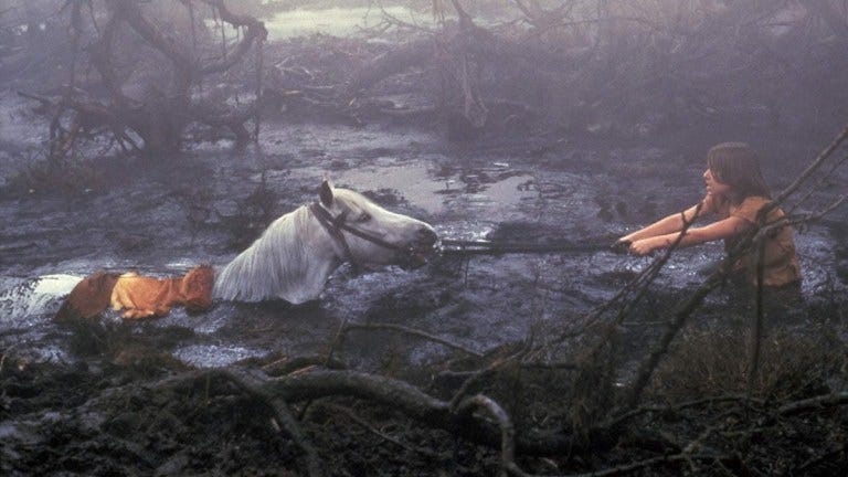 Atreyu and Artax in The NeverEnding Story Swamp