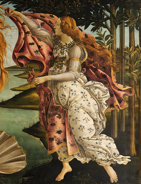De Geboorte van Venus