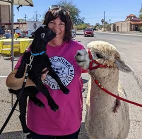 A person holding a llama and smiling

AI-generated content may be incorrect.