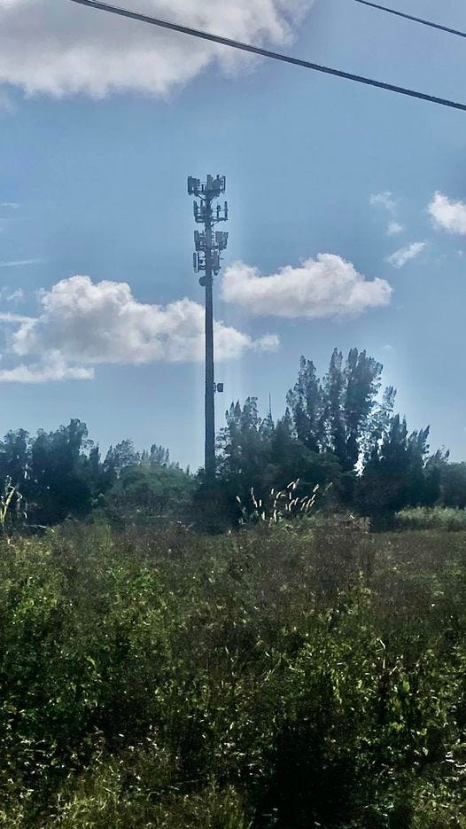 May be an image of windmill, grass, satellite dish and tree