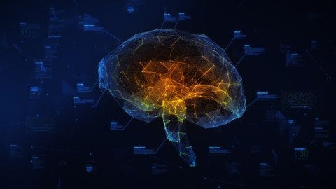 Technology Animation Connected Shinning Brain Ai Stock Footage Video (100% Royalty-free) 1093164903 | Shutterstock Technology Animation Connected Shinning Brain Ai Stock Footage Video (100% Royalty-free) 1093164903 | Shutterstock