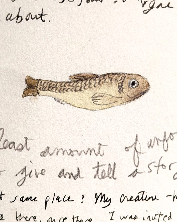 fish flower and fathead minnow