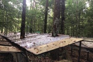 Rainforest study area in north-eastern Brazil, showing rows of transparent panels to redirect water away from trees.