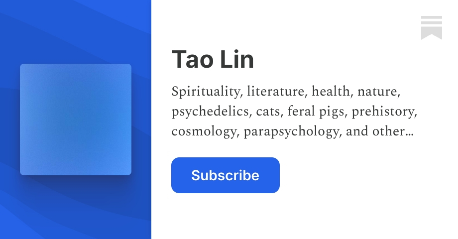 Substack Lewis Lin Tao Lin | Substack
