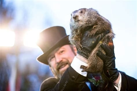 Groundhog Day 2023: Did Punxsutawney Phil See His Shadow?