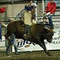 Char The RodeoGal's avatar